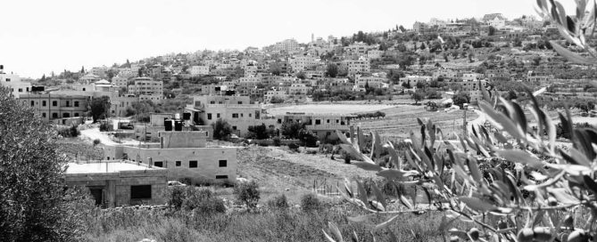 donar suport a la causa palestina
