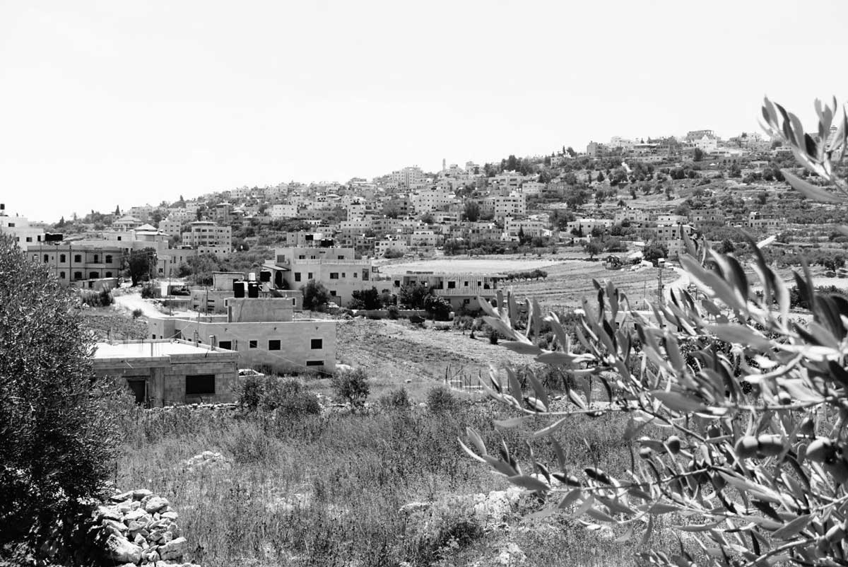 donar suport a la causa palestina