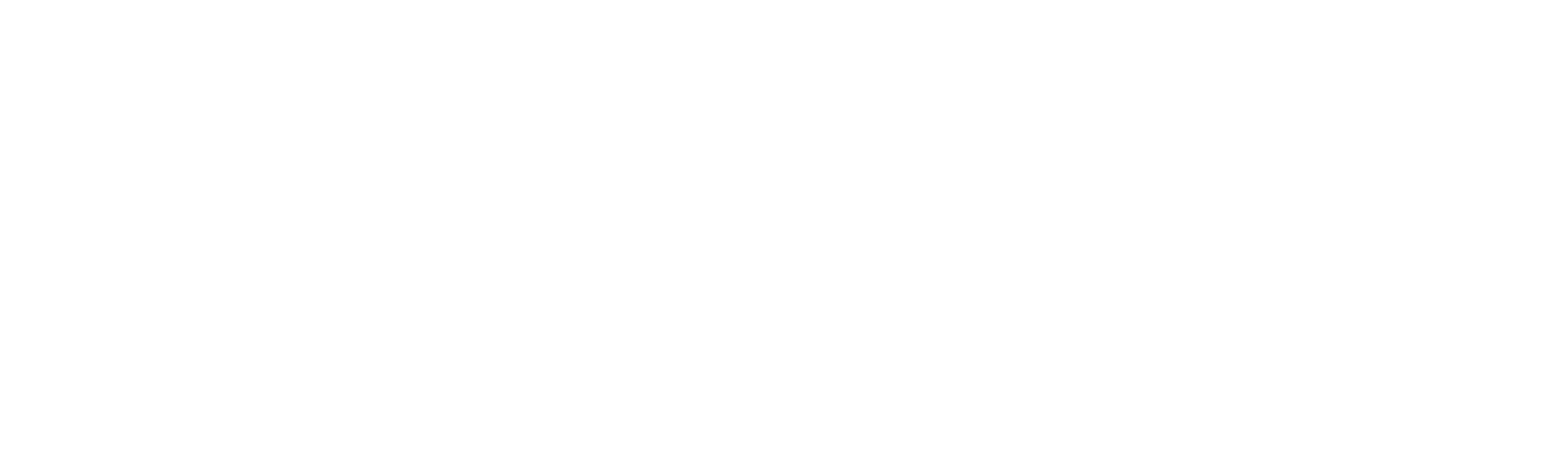Brigades de Solidaritat Logo