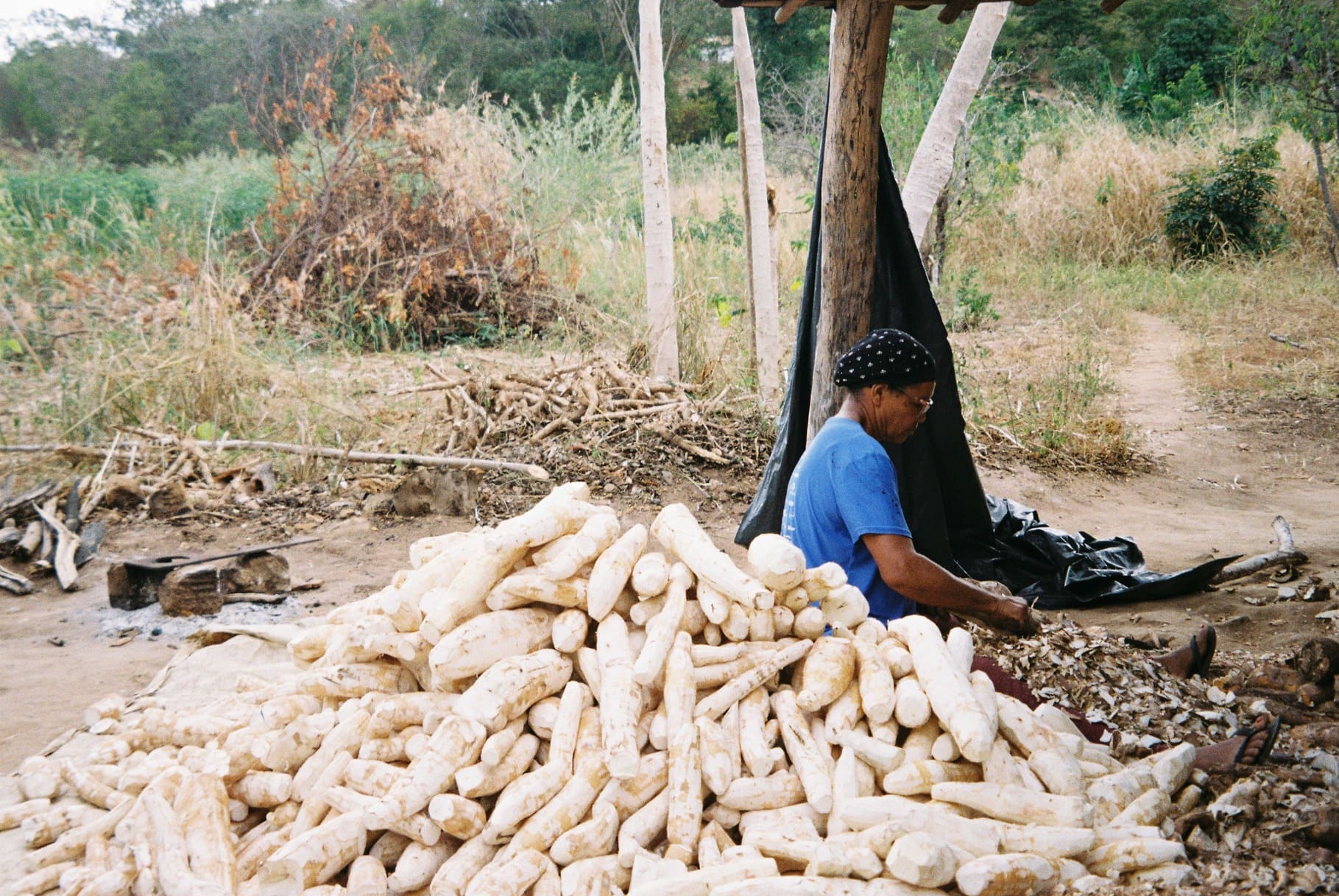 negoci_agroalimentari_brasil_04 Negoci agroalimentari Brasil MST